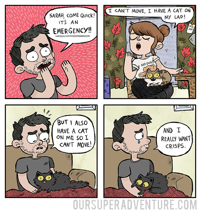 Cat Comics