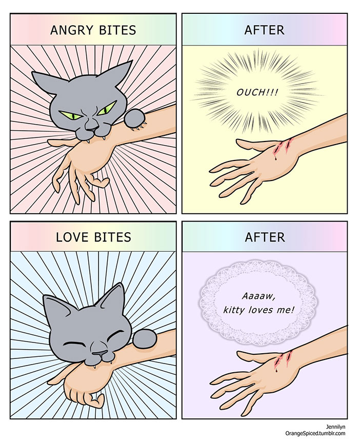 Cat Comics