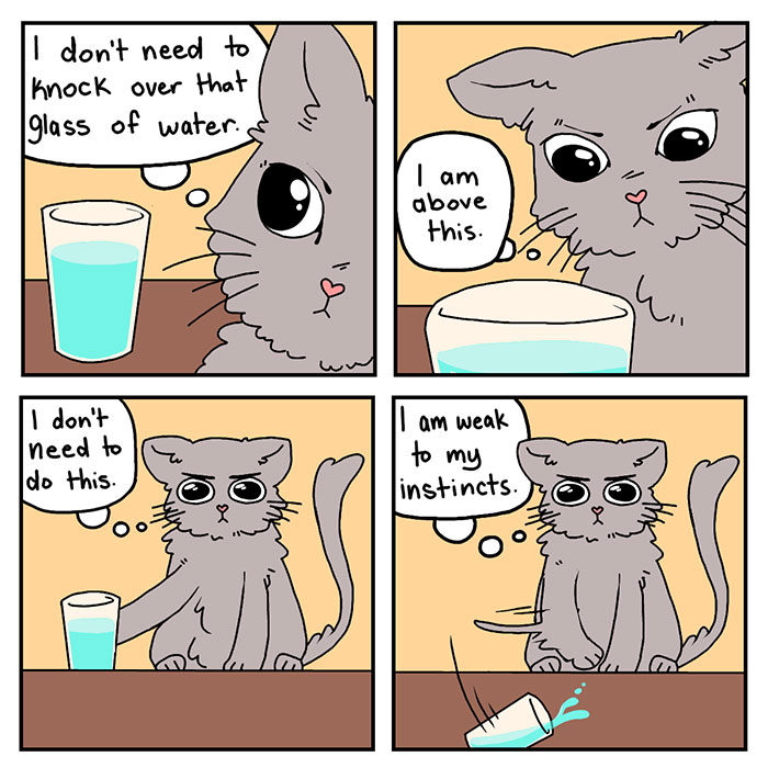 Cat Comics