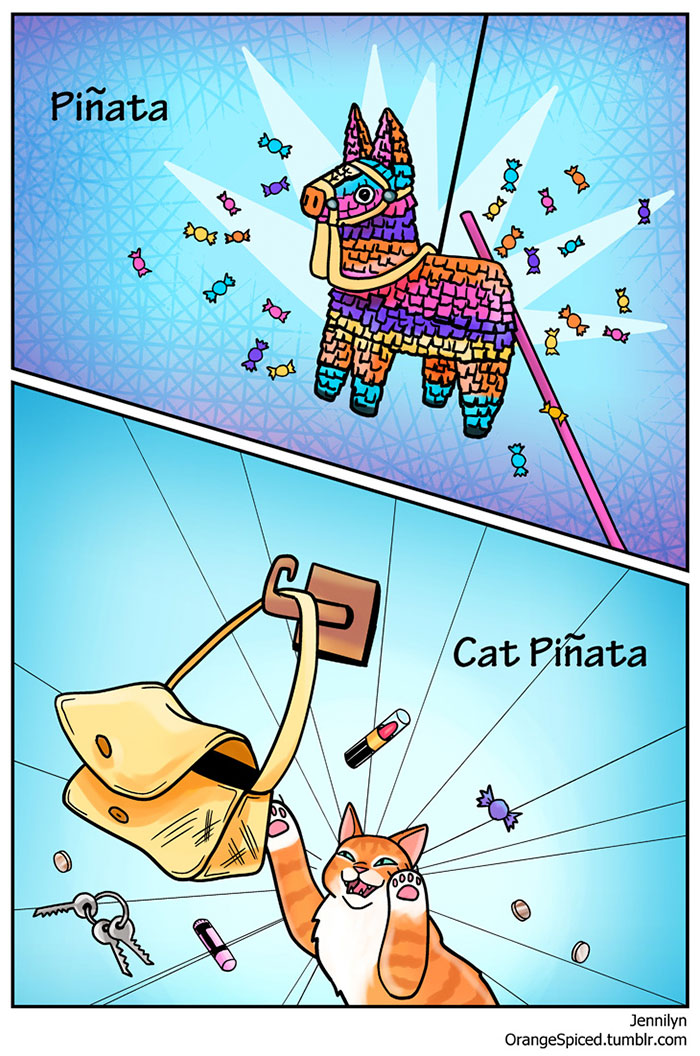 Cat Comics
