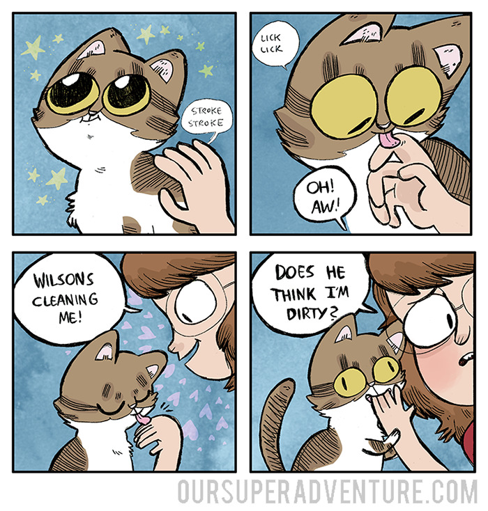 Cat Comics
