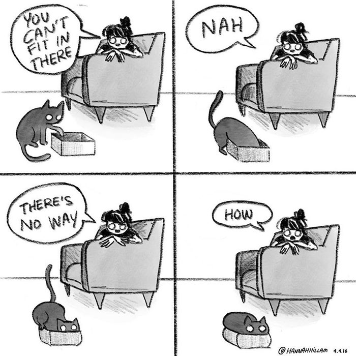 Cat Comics