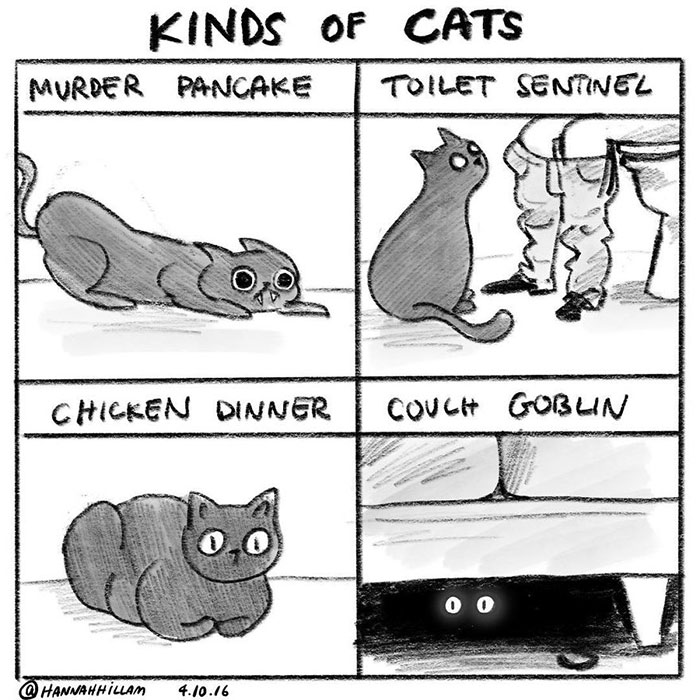 Cat Comics