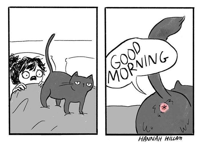 Cat Comics