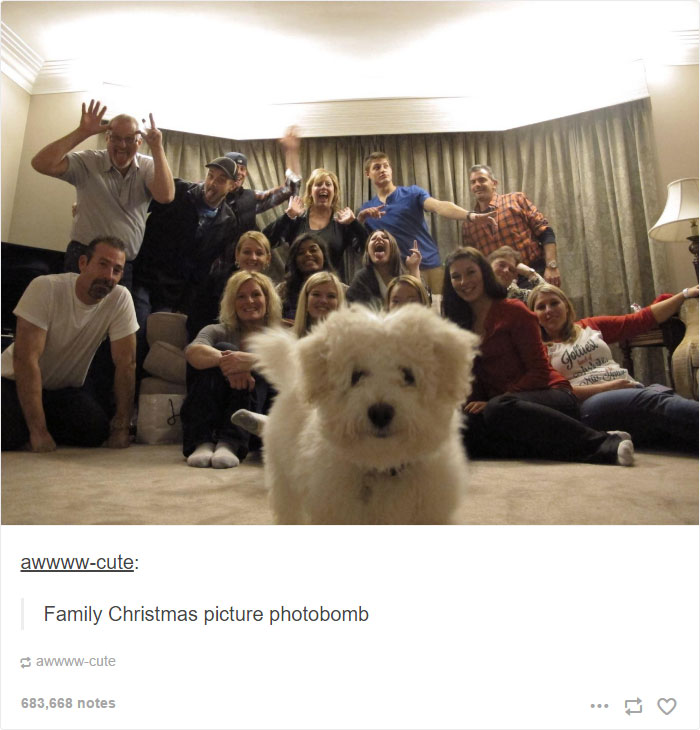 Christmas Post