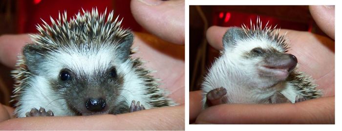 Before & After Being Called A Good Girl