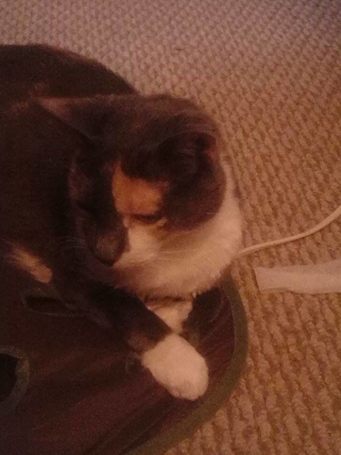 Mystique Before And After Being Called A Good Girl