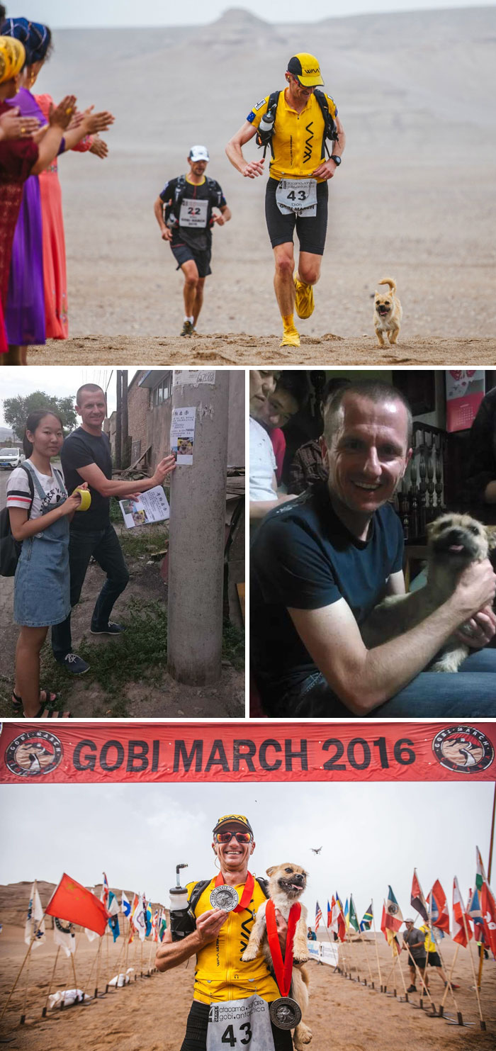 Stray Dog Who Joined Runner On 155-Mile Race Disappears So The Athlete Flies To China To Find Him