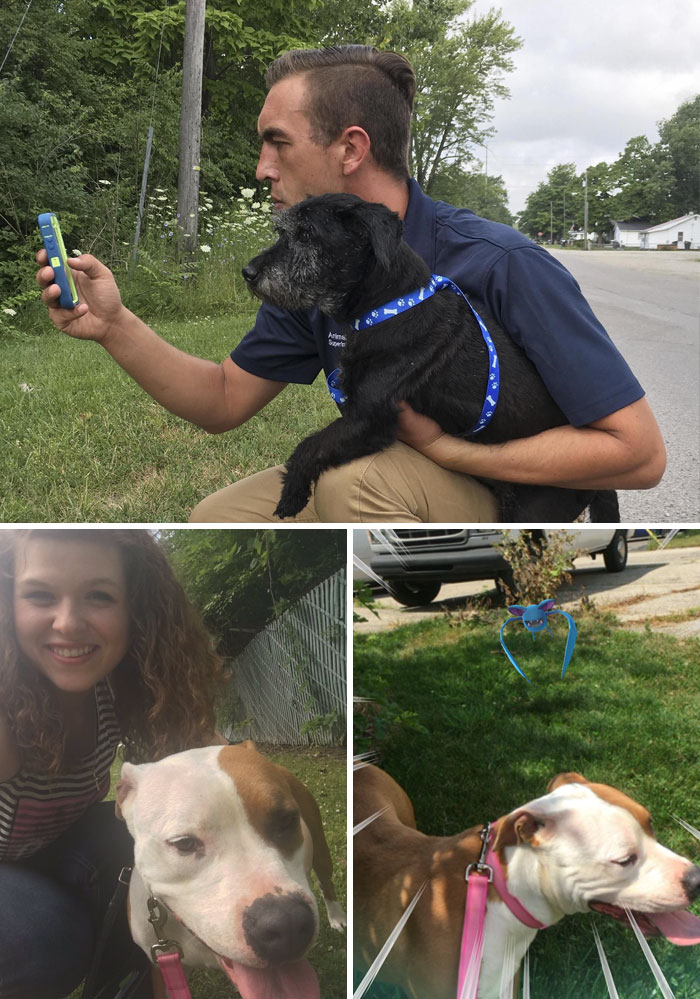 This Animal Shelter Asked Pokémon Go Players To Walk Their Dogs. Just One Hour After The Initiative Was Announced, Lines Of Children And Adults Appeared At The Shelter Volunteering To Walk The Dogs