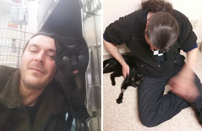Truck Driver Stops To Save A ‘Dead’ Cat And Ends Up Adopting Him