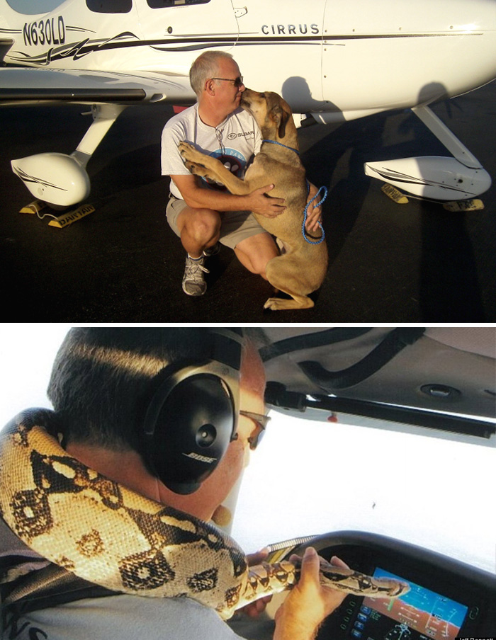 Man Flies 5,000 Homeless Animals To Save Them From Death