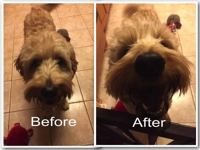 Before And After Saying Good Girl