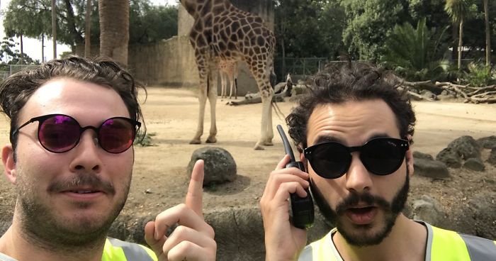 Guys’ Experiment Reveals That Wearing Hi-Vis Vests Gets You Everywhere For Free, And It’s Scary