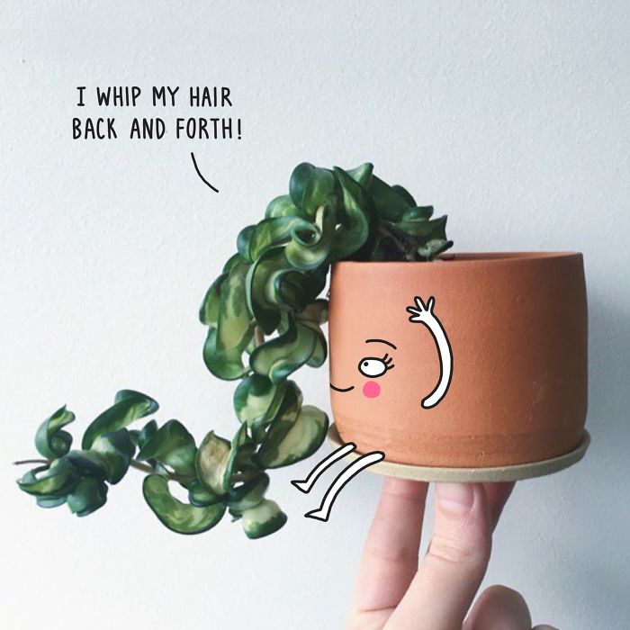 I Promote My Favourite Makers On Instagram By Bringing Their Photos To Life