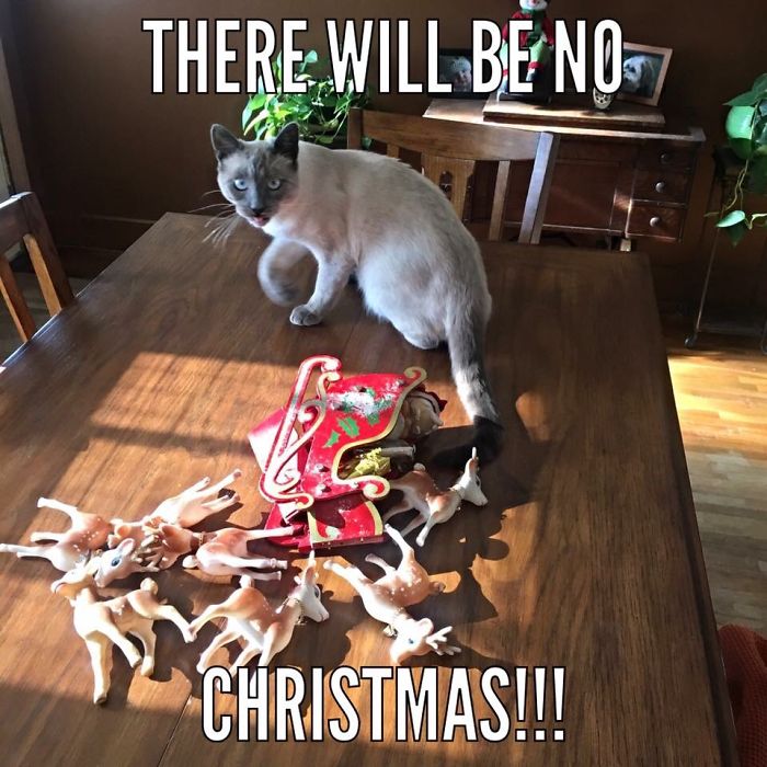 The Center Piece Display Apparently Wasn't Acceptable.