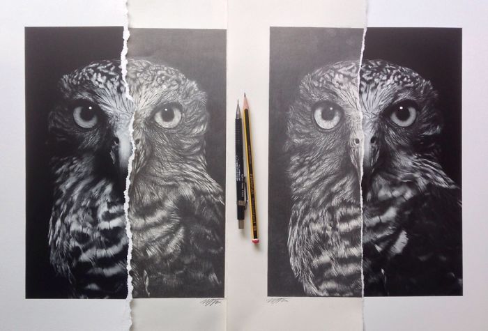 Wise Owl: I Created Two Originals From One Artwork Wise Owl: I Created Two Originals From One Artwork