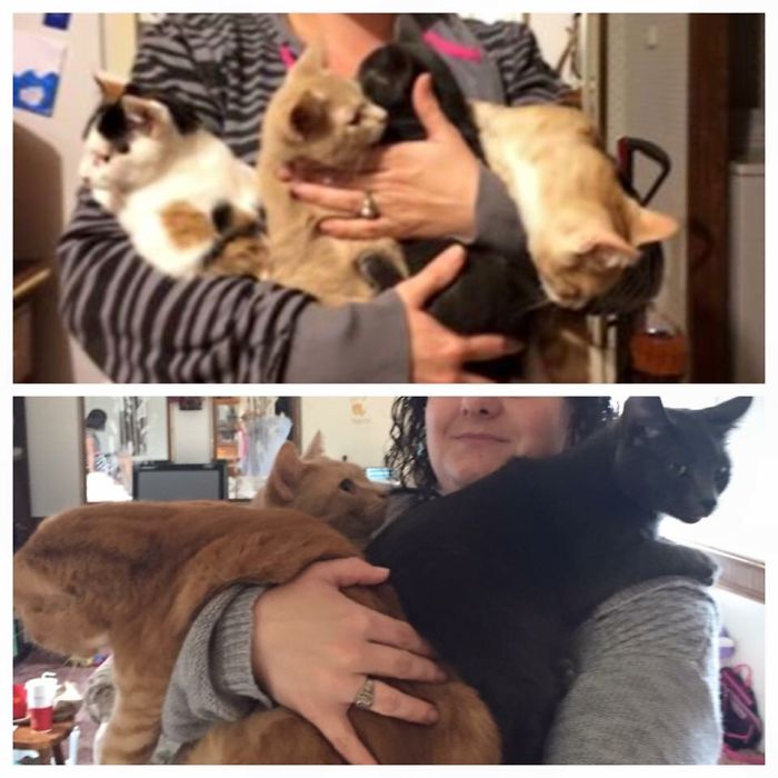 About A Year's Difference From Top To Bottom...minus 1 😭 Rip Sweetie