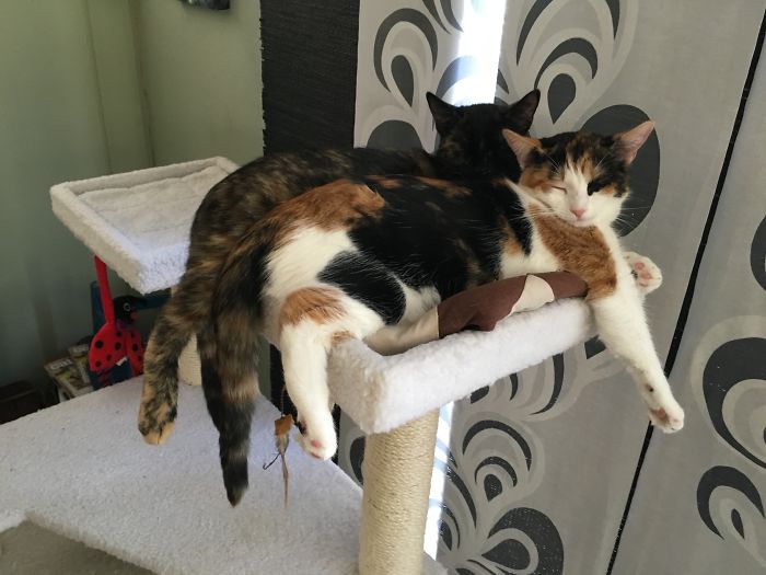 These Two Babies Still Love Each Other :)