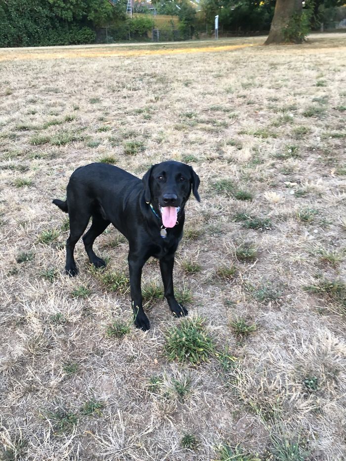 Freddy Loves Being Called A Good Boy!