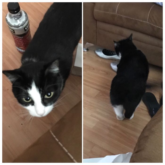 Before And After Being Called A Good Girl