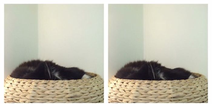 Before And After Being Called A Good Girl