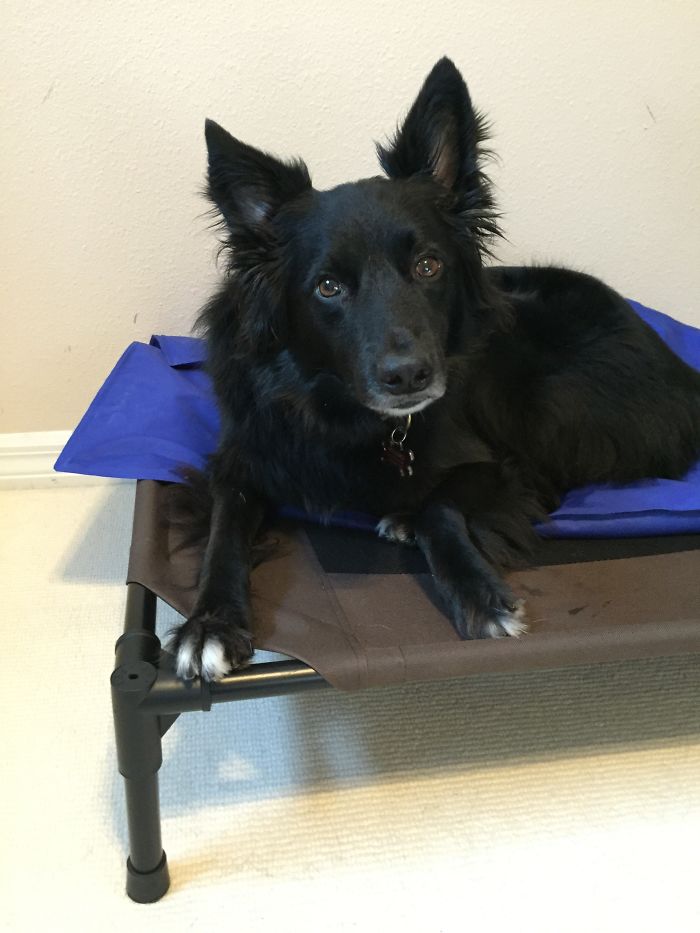 Before And After Being Called "good Boy"