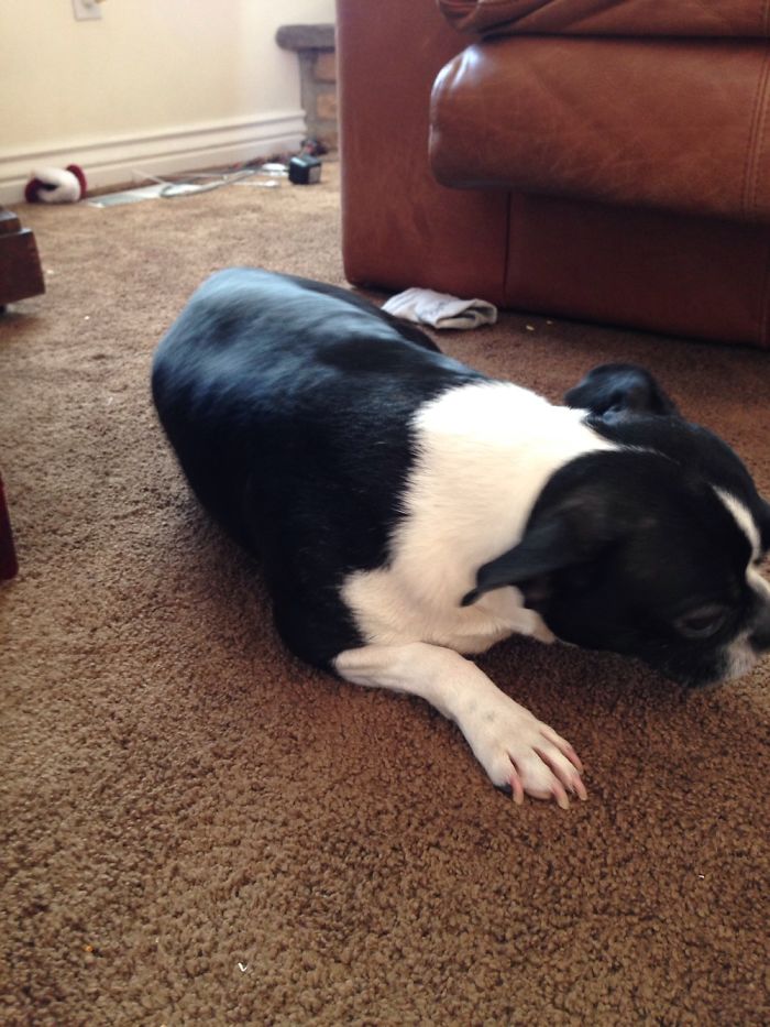 After Being Called A Good Girl