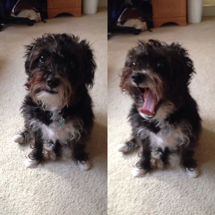 Before And After Being Told She's A Good Girl.