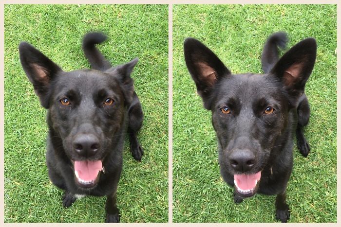 Before And After Being Told She Is A Good Girl