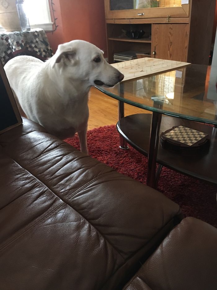 Before Being Told She Is A Good Girl