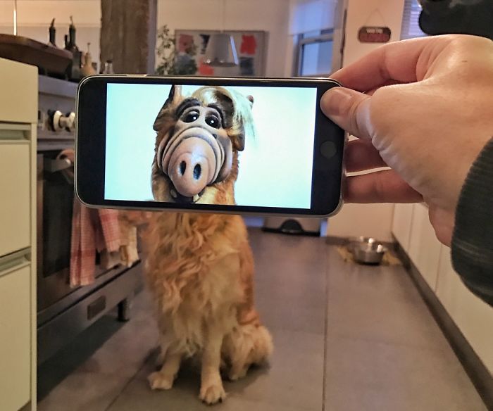 Bringing Everyday Objects And Places To Live With My Smartphone