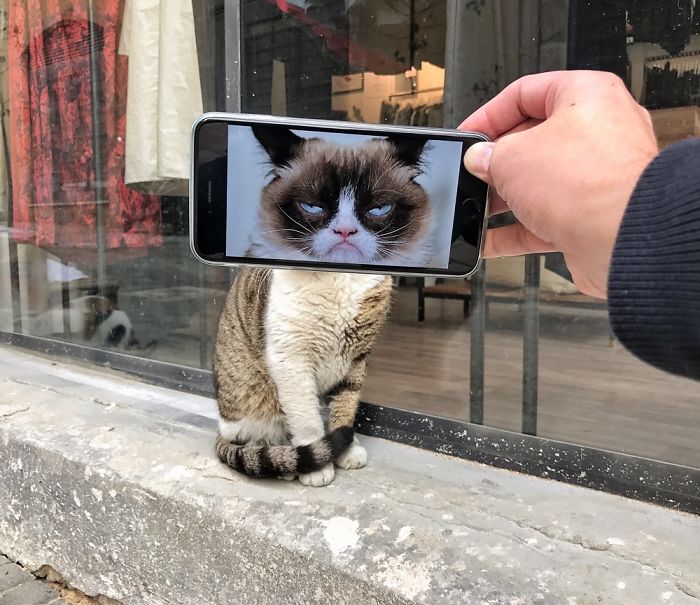 Bringing Everyday Objects And Places To Live With My Smartphone