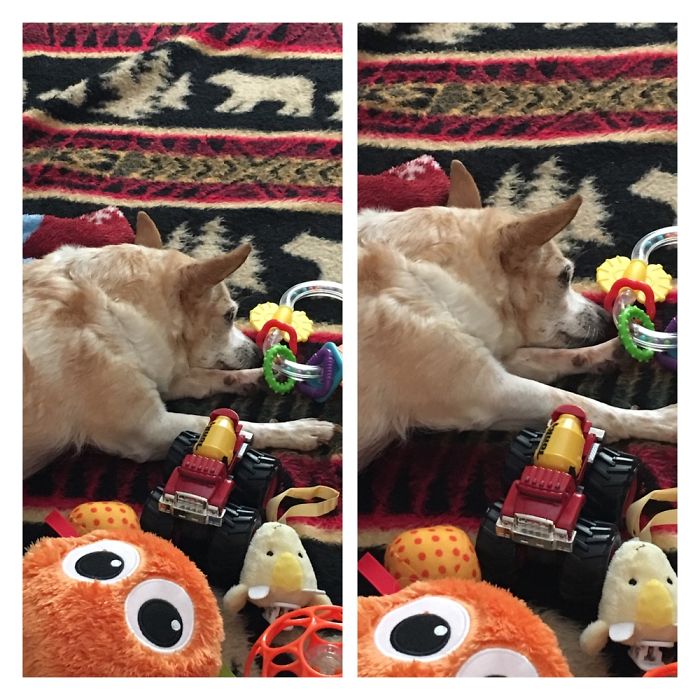 Before Being Called Good Girl, And After. She Doesn't Care Lol. She's 14, Just Wants To Sleep.