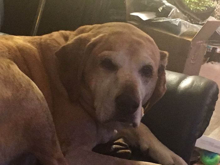 After Being Told She Is A Good Girl!