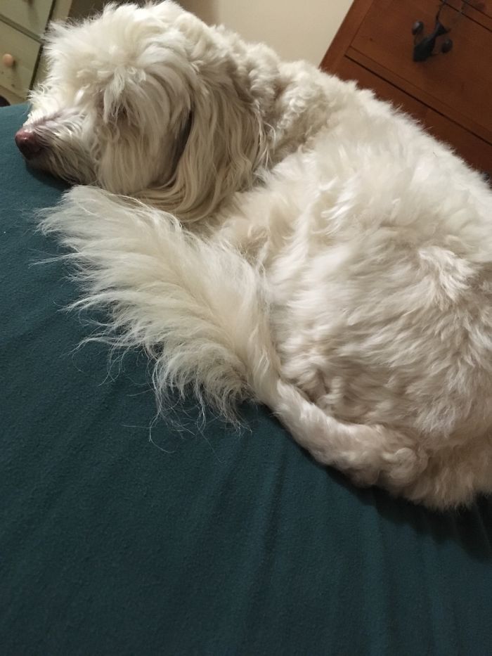 Awesome And Random :-)