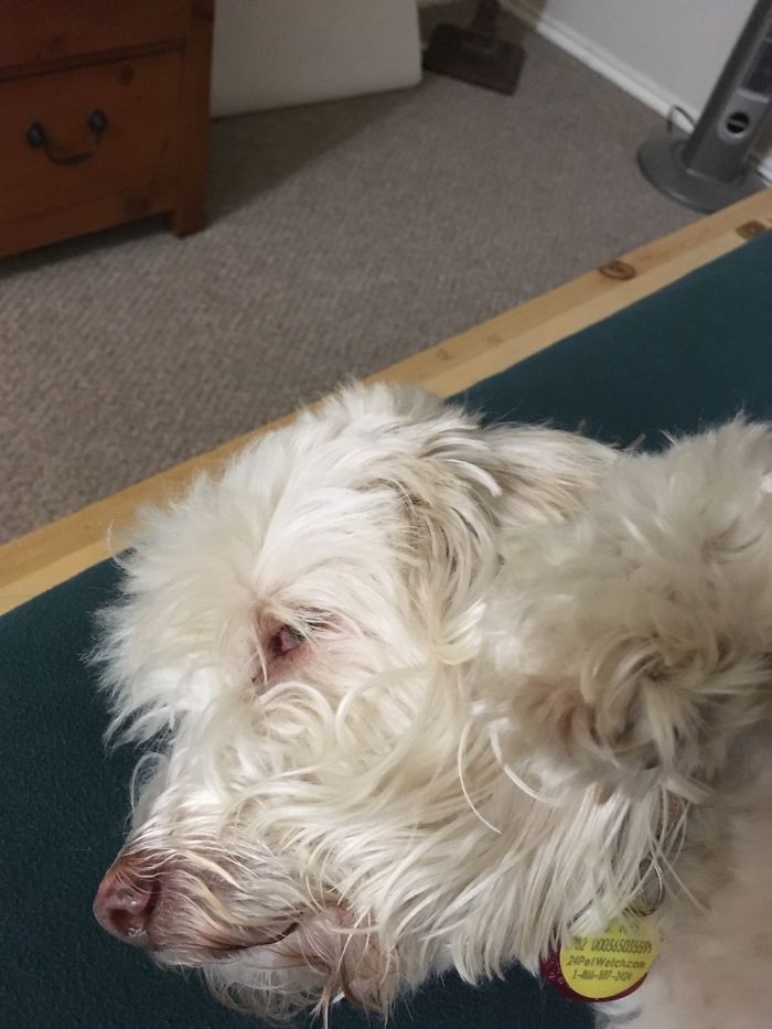 Awesome And Random :-)