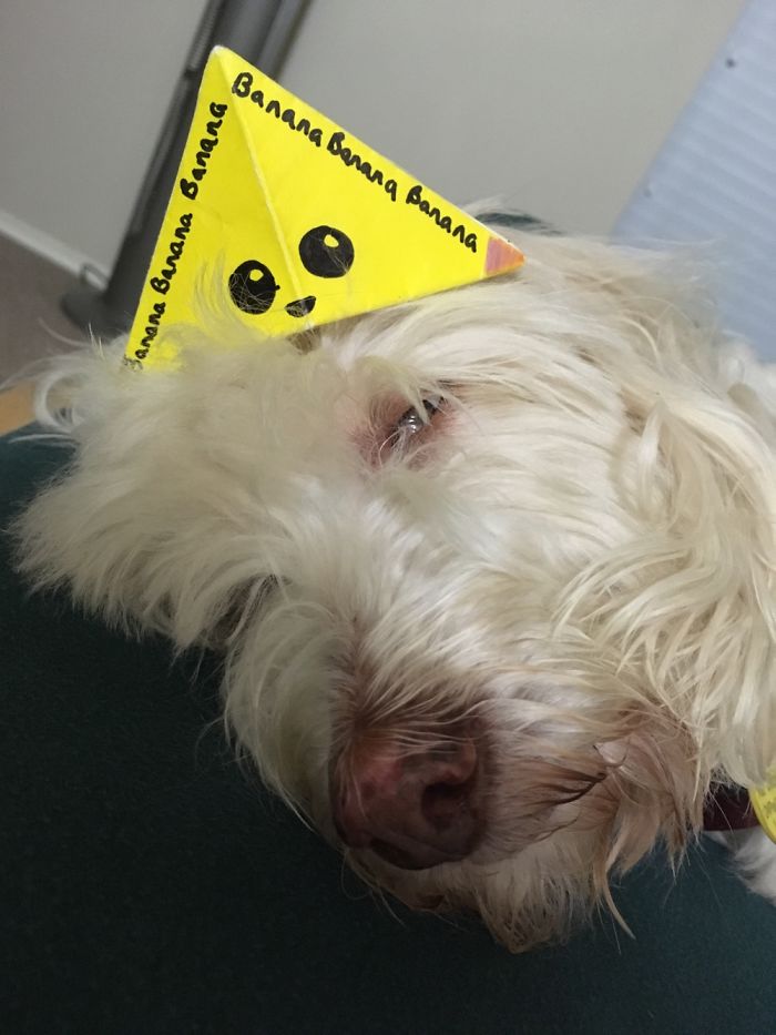 Awesome And Random :-)