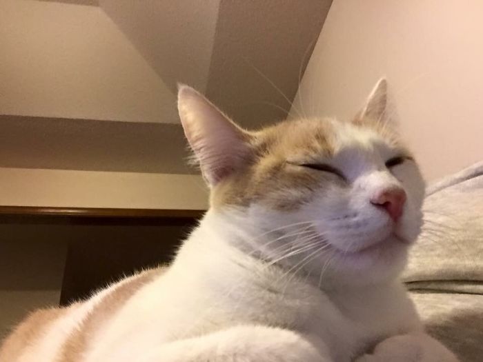 When She's Called A Good Kitty