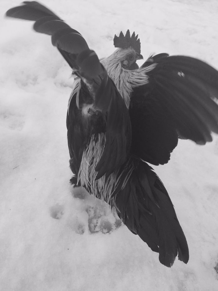 After Being Called A Good Boy