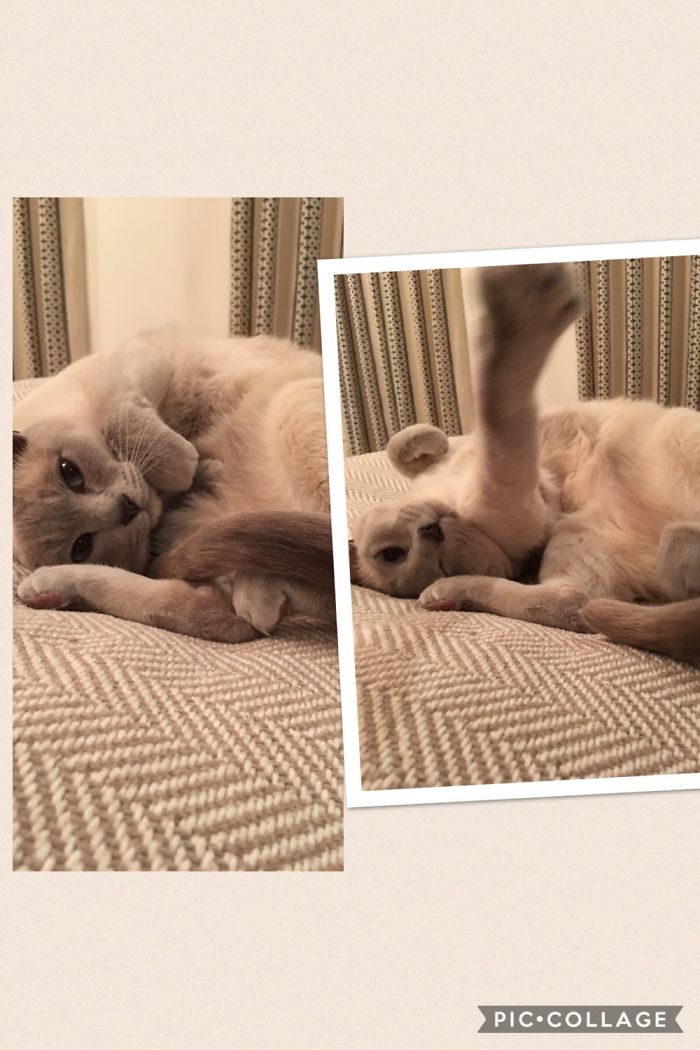 Harry Before And After Being Called A Good Boy