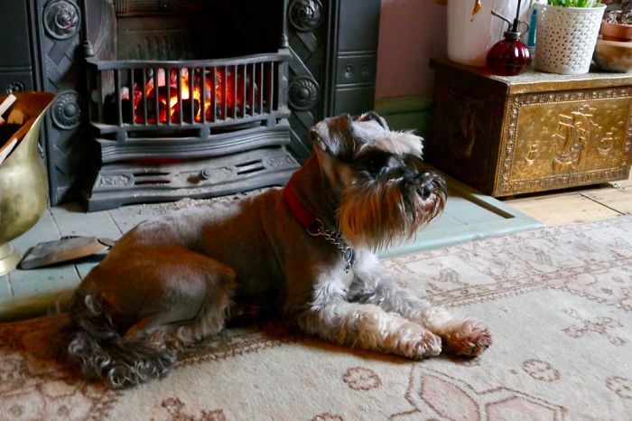 Nietzsche "good Girl" After