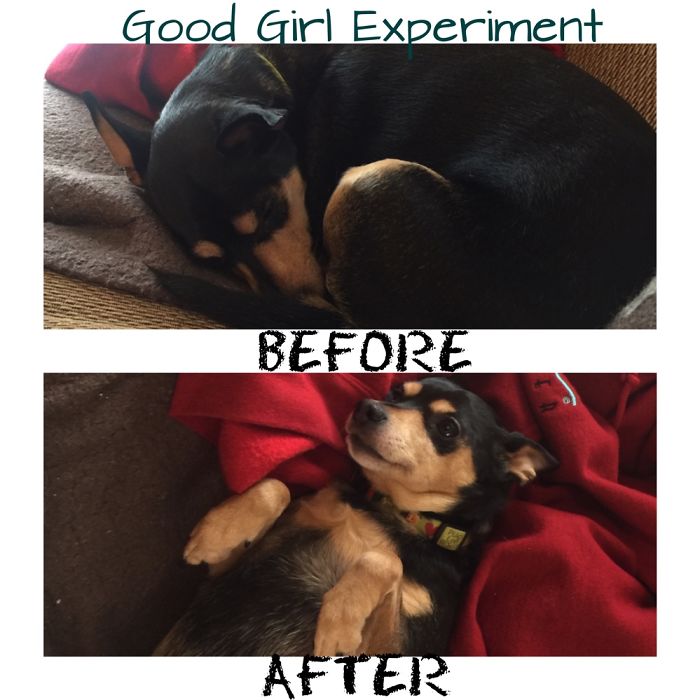 I'm A Good Girl??? Rub Mah Belly!!! (of Course I Obliged)