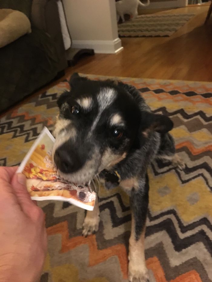 Before And After Being Called A "goudaboy!" - Not!!