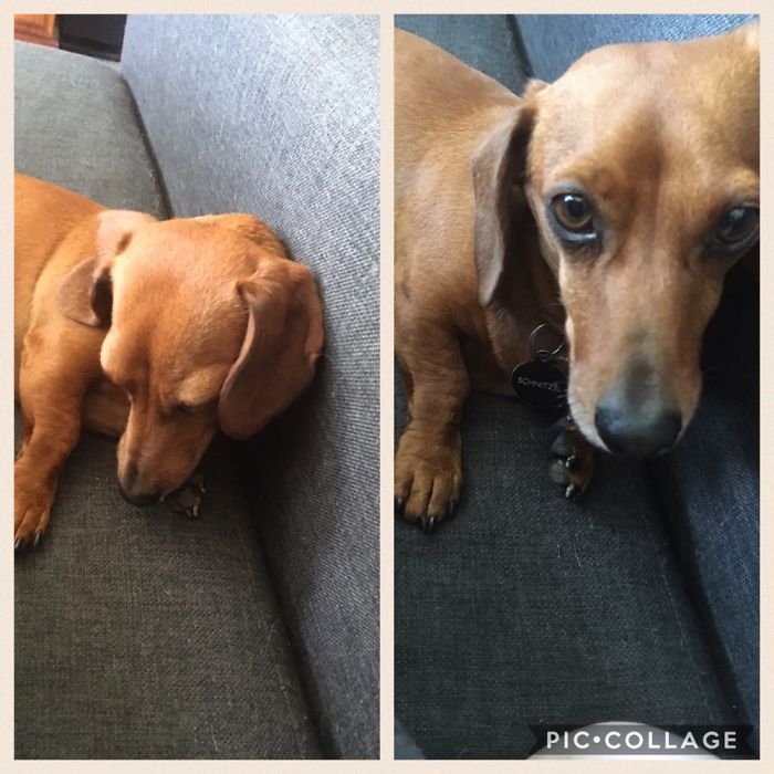 He's As Aloof As A Cat. I'm Surprised He Looked Up At All Haha