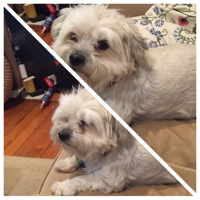 Charlie Before And After Being Called A Good Girl.