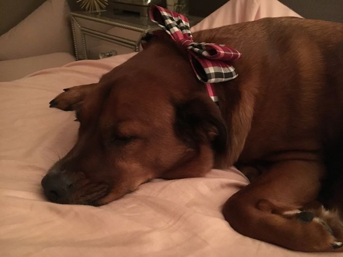 Before And After Side Eye