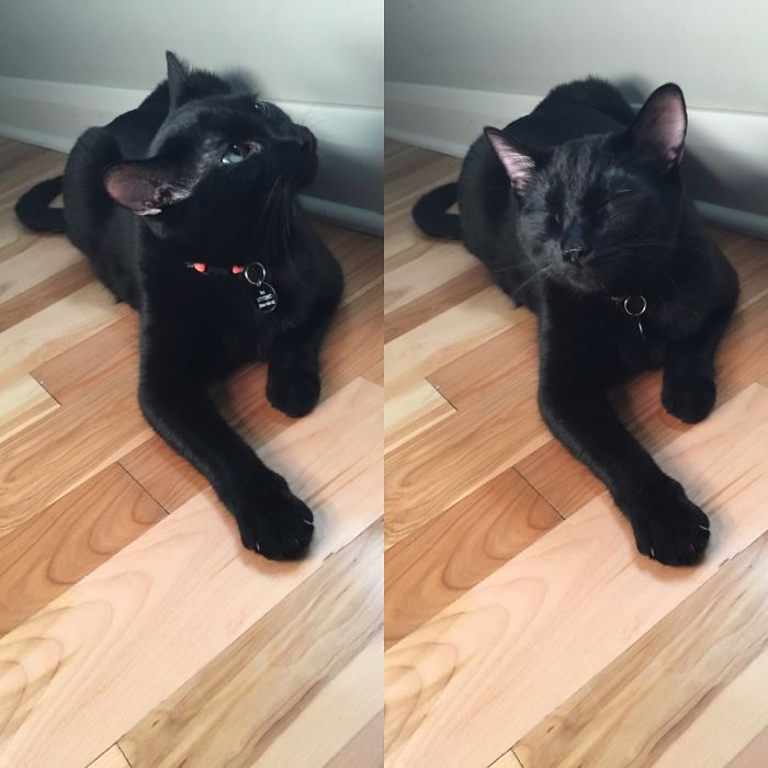 Before And After Being Called A Good Boy