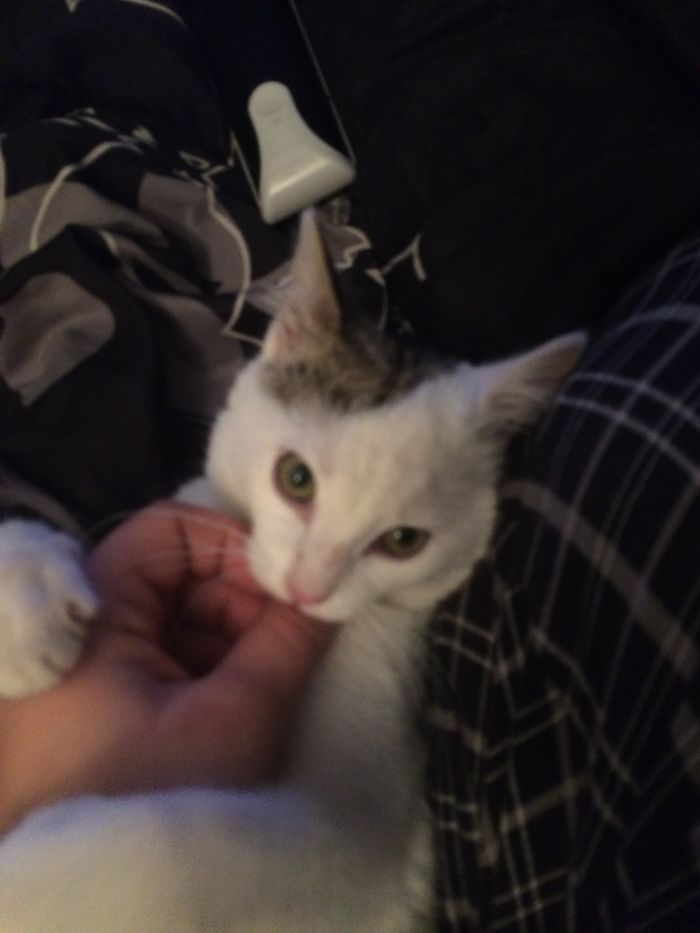 Before And After Being Called A Good Boy