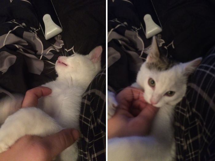 Before And After Being Called A Good Boy