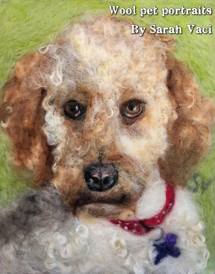 Beautifully Natural Pet Portraits That I Made From Wool And Pet Fur